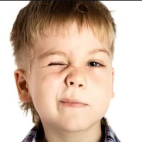 De krant die niet bestaat logo - Similar company to Krant Van De Aarde _ De Krant Van Groen Nederland