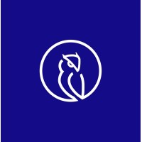 Sosillas Financial logo - Similar company to Sims Capital, Llc