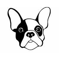 Promotions Guy logo - Similar company to Skylight Creative Ideas