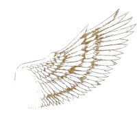 Angelourenzzo - Interior Design logo - Similar company to Inain