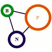 BPN Consulting logo - Similar company to Resourcesx