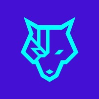 Cyberwolves logo - Similar company to Softelnet