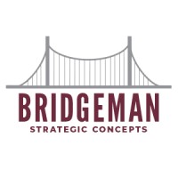 Bridgeman Strategic Concepts logo - Similar company to Network Magazine