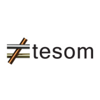 TeSoM logo - Similar company to Aainagirl.Com