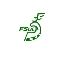 Formula Student UL logo - Similar company to Formula Trinity