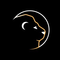 Space Lion Studios logo - Similar company to Indigo Pc Studio