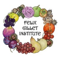 Felix Gillet Institute (FGI) logo - Similar company to Gladiator Consulting