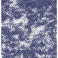 Nuvem - Pesquisa e Consultoria logo - Similar company to Conpedi - Conselho Nacional De Pesquisa E Pos-Graducao Em Direito