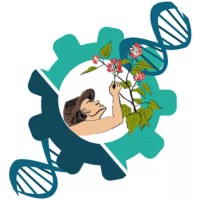 Ethnopharmaco'project by ESITech logo - Similar company to Projet Orizontech - Esitech