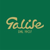 Galise, dal 1907 logo - Similar company to D'Aniello Consulting