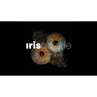 Iris Galerie Nordics logo - Similar company to Iris Galerie