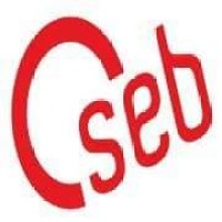 CSEB Bénin logo - Similar company to Cseb Officiel
