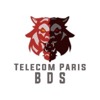 BDS Télécom Paris logo - Similar company to Telecom Business & Finance