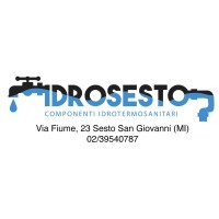 IDROSESTO SRL logo - Similar company to Rad Logistica