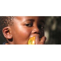 TransCape NPO logo - Similar company to Walden Studio