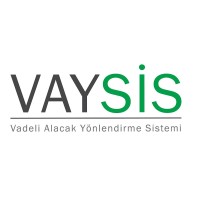 Vaysis logo - Similar company to Dinar Tech