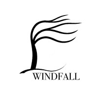 WindFall Tech logo - Similar company to Skoop