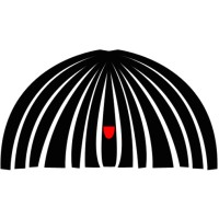 Invisible University logo - Similar company to Skool