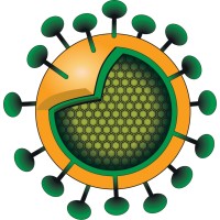 BioVentures Institute logo - Similar company to Cellivia