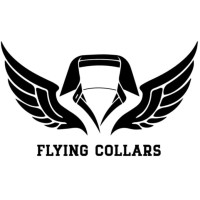 Flying Collars Solutions logo - Similar company to Ssva Services