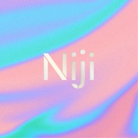 NIJI Handcrafted Japanese Mochis logo - Similar company to Health Issues