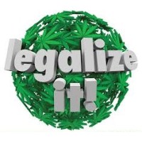 maribisshop logo - Similar company to Best Daze