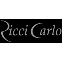 ricci carlo srl logo - Similar company to Cgs Group Srl