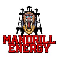 Mandrill Energy Solutions logo - Similar company to Armos Exim