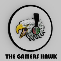 The Gamers Hawk logo - Similar company to Devsprings