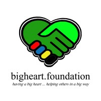 bigheart.foundation logo - Similar company to Falcon Wisdom Foundation