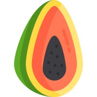 Papayajuice logo - Similar company to Aseptic Fruit Pulp