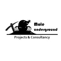 Mole Underground projects & consultancy logo - Similar company to Linea Ignis