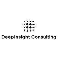 DeepInsight Consulting logo - Similar company to Deepinsight