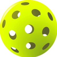 Piqle logo - Similar company to Yatori