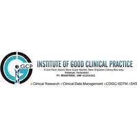 Institute of Good Clinical Practice logo - Similar company to Igcp