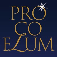 Procoelum logo - Similar company to Artecasa Interiors