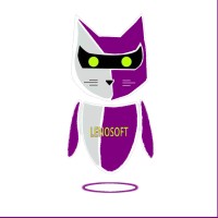 LENOSOFT logo - Similar company to Gbsi
