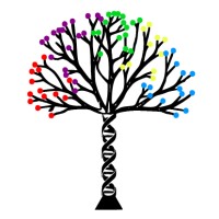 Dataplx Consultancy
