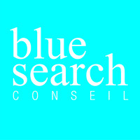 Blue Search Conseil logo - Similar company to Aizen Recruitment