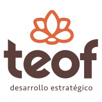 Teof Desarrollo Estrategico logo - Similar company to Md Consultores Ahora Es Latika It Srl