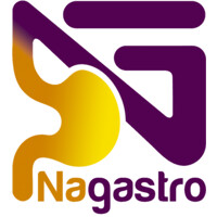 Nagastro logo - Similar company to Be Consult