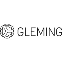 Shenzhen Gleming Photoelectric Technology Co. Ltd. logo - Similar company to Shenzhen Liris Lighting Co Ltd