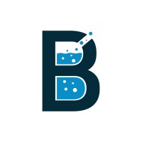 BoerSoft Soluções em Sistemas logo - Similar company to Proxy Laboratório