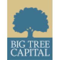 Big Tree Capital LLC logo - Similar company to Msi Global Consulting