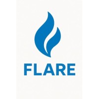 Flare Consulting Pte Ltd logo - Similar company to Bodesign