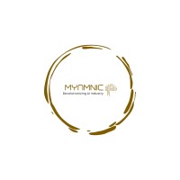 Myamnic Soft-Tech logo - Similar company to Surya Soft-Tech