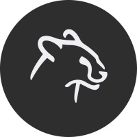 So Many Problems logo - Similar company to Georgia Tech Tbilisi