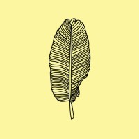 Banana Leaf Studio logo - Similar company to The Banana Leaf Apolo