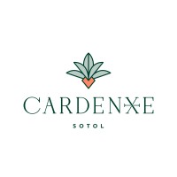 Cardenxe Sotol logo - Similar company to Techcare