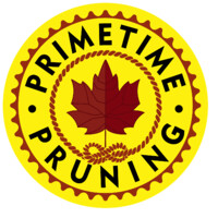 Primetime Pruning, Tree Care Specialists logo - Similar company to National Housecheck